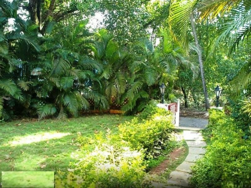 Little Italy Hotel Calangute Bagian luar foto